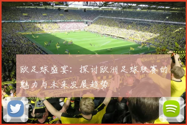 欧足球盛宴：探讨欧洲足球联赛的魅力与未来发展趋势