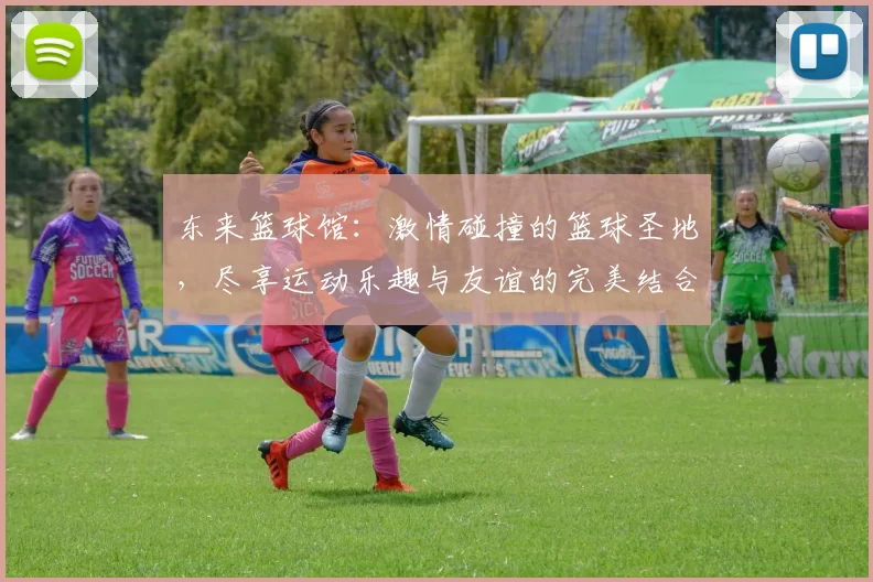 东来篮球馆：激情碰撞的篮球圣地，尽享运动乐趣与友谊的完美结合