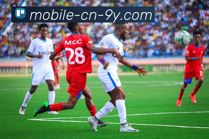 多媒体互动体验